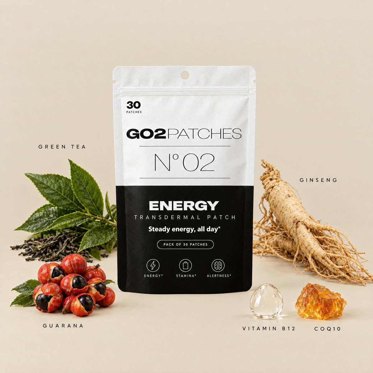 GO2PATCHES N° 02 Energy key ingredients